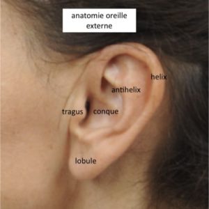 chirurgie esthetique docteur loreto chirurgien esthetique paris chirurgie du visage chirurgie des oreilles decollees earfold implant technique earfold