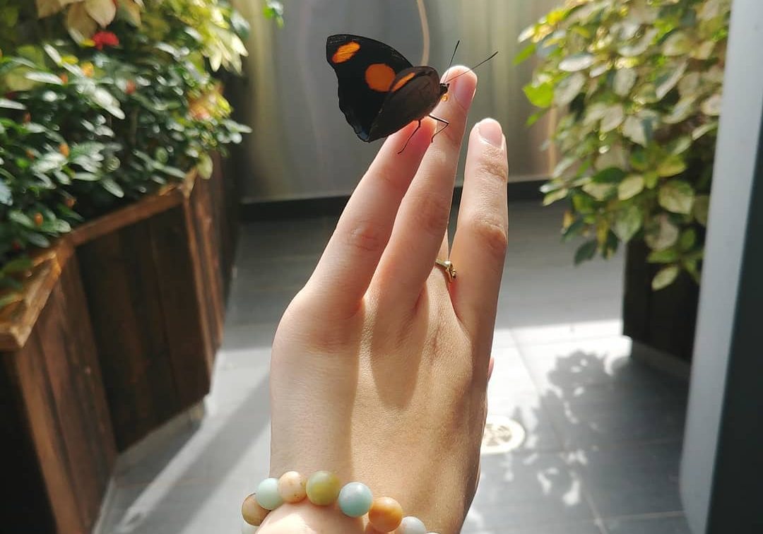 yoga mantra papillon main bracelet