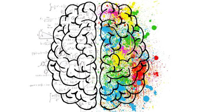 Dessin d'un cerveau avec équations et couleurs. Les couleurs sont dans la partie droite du cerveau, les équations dans la partie gauche.