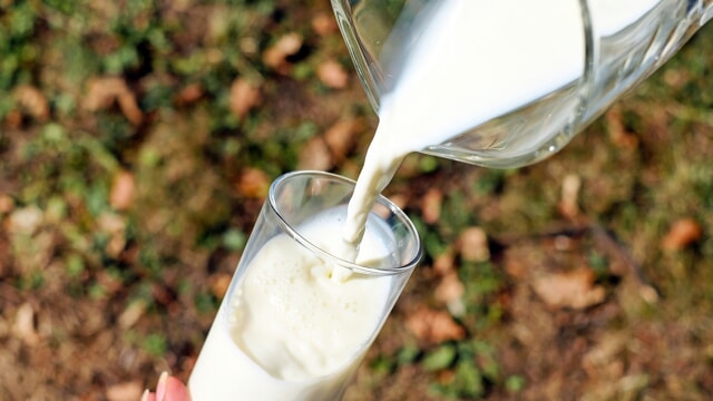Vous ne buvez pas de lait ?  Les aliments pour le remplacer pour ne pas renoncer au calcium et autres nutriments